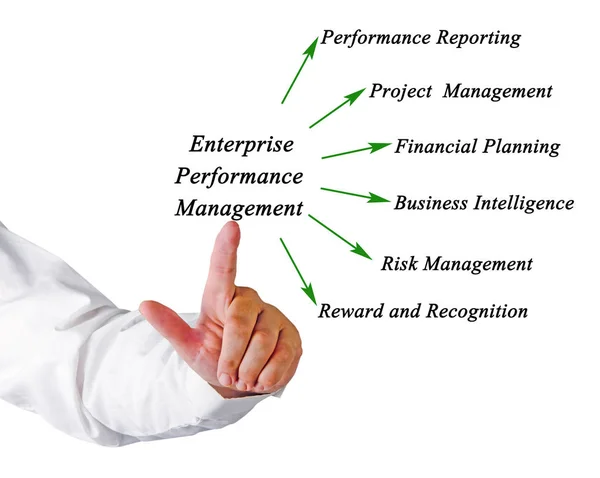 Kurumsal performans yönetimi diyagramı — Stok fotoğraf